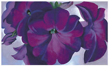 Petunias, 1925 by Georgia O'Keeffe Art Print Purple Flower Floral Poster 11x14 picture