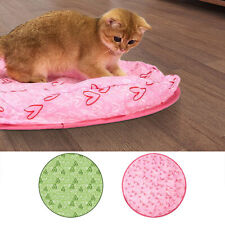Concealed Motion Cat Hunting Cover Interactive Chasing Simulated Exercise Toy picture