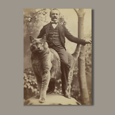 Art Deco Huge Cat Riding Man Vintage Vibe Weird Strange Funny Pose In Sepia picture