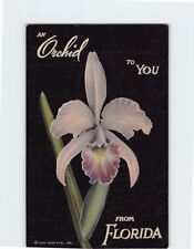 Postcard An Orchid To You From Florida, Mead Botanical Gardens, Winter Park, FL picture