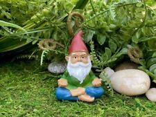 Meditating & Praying Fairy Garden Accessories Zen Namaste Yoga Set of 2 Gnomes picture