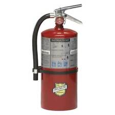 Buckeye Fire Equipment 11310 Fire Extinguisher, 4A:60B:C, Dry Chemical, 10 Lb picture