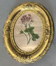 Fine Oval Antique Floral Decorated Gilt Frame w Botanical Geranium Print picture