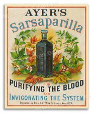 1860s Ayers Sarsaparilla - Vintage Patent Medicine Poster - 20x24 picture