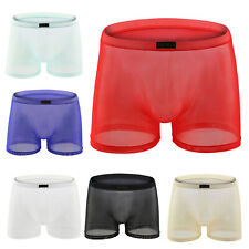 US Mens Boxer Briefs Low Rise Underwear Mesh Shorts See-Through Panties Vacation picture