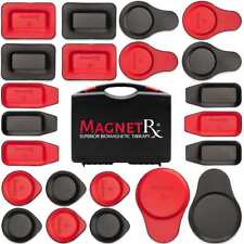 Biomagnetic Therapy Magnets Kit (22 Mixed Units) picture