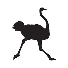Ostrich Running - Vinyl Decal Sticker - Multiple Color & Sizes - ebn492 picture