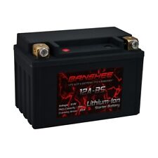Banshee Replacement for Bikemaster DLFP12A-BS Lithium Ion Motorcycle Battery picture