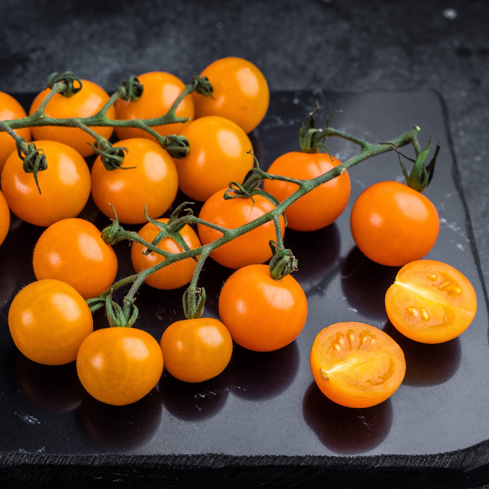 SunSugar F1 Hybrid Tomato Seeds | Extremely Sweet | | 1309 SunSugar F1 Hybrid Tomato Seeds | Extremely Sweet | | 1309