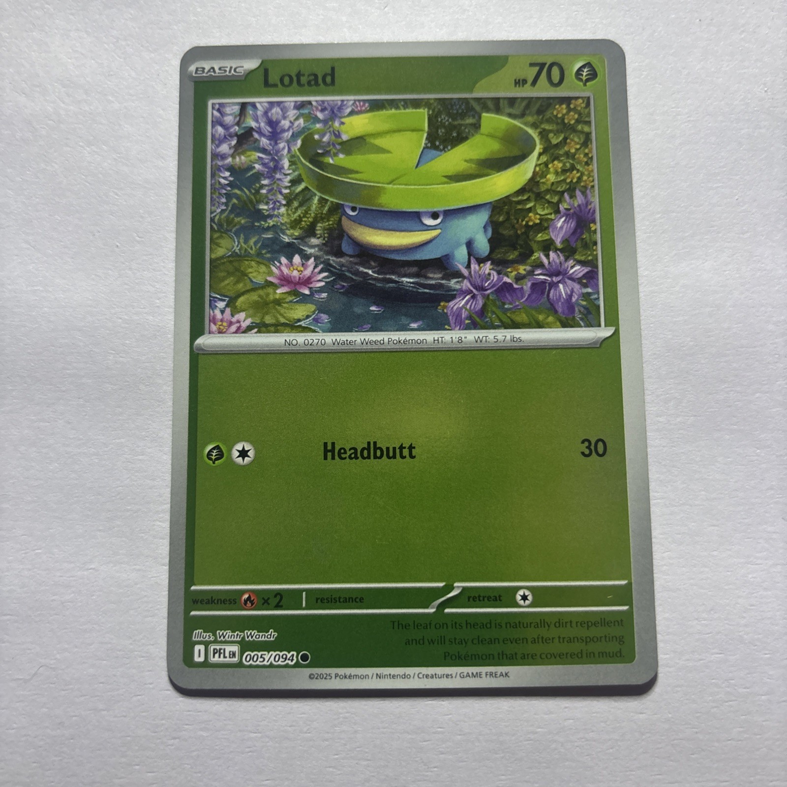Pokémon Lotad 005/094 Me02: Phantasmal Flames Reverse Holo Common Basic 70 HP