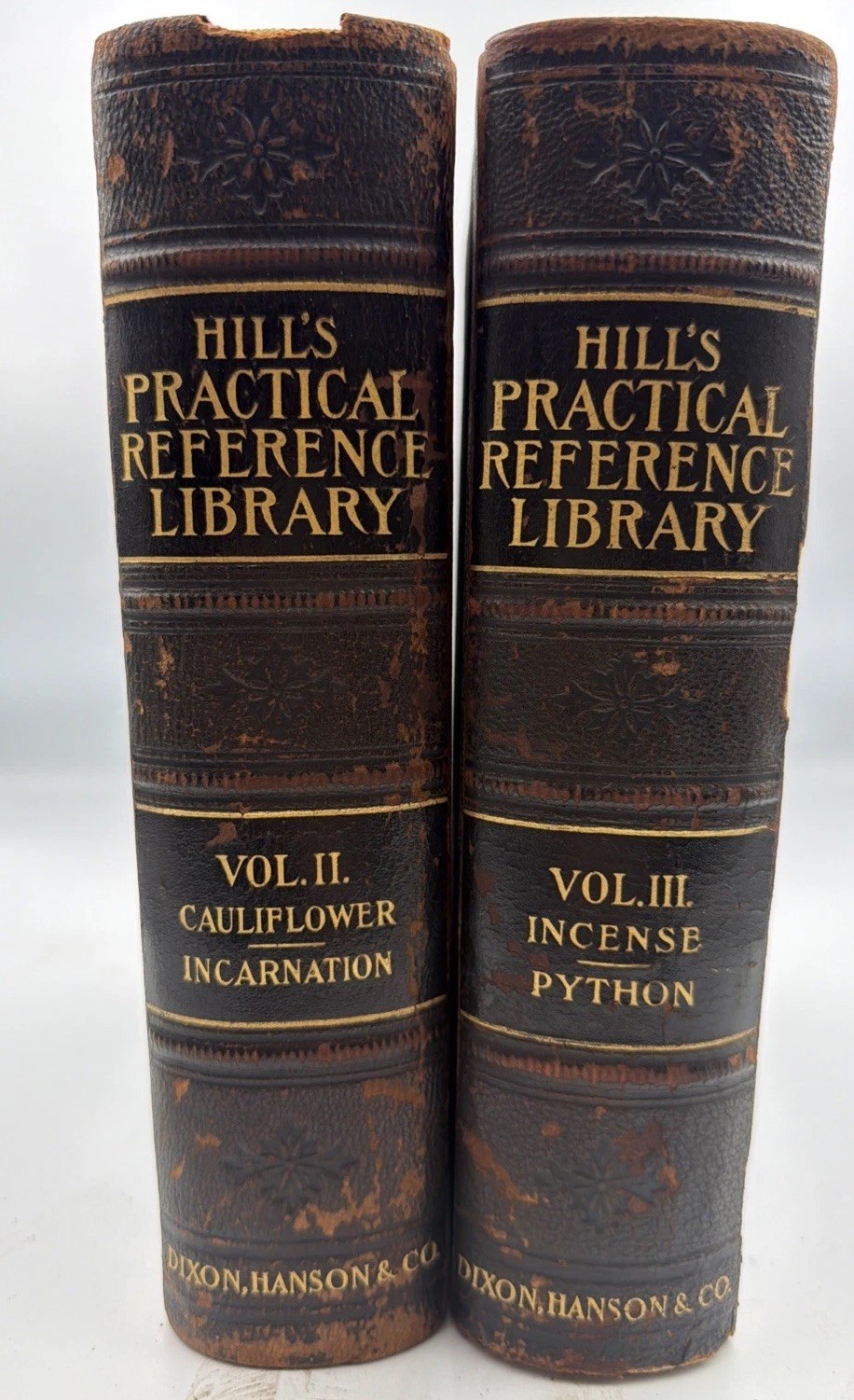 RARE 1904 Hill’s Practical Reference Library Vol 2&3 Illustrated