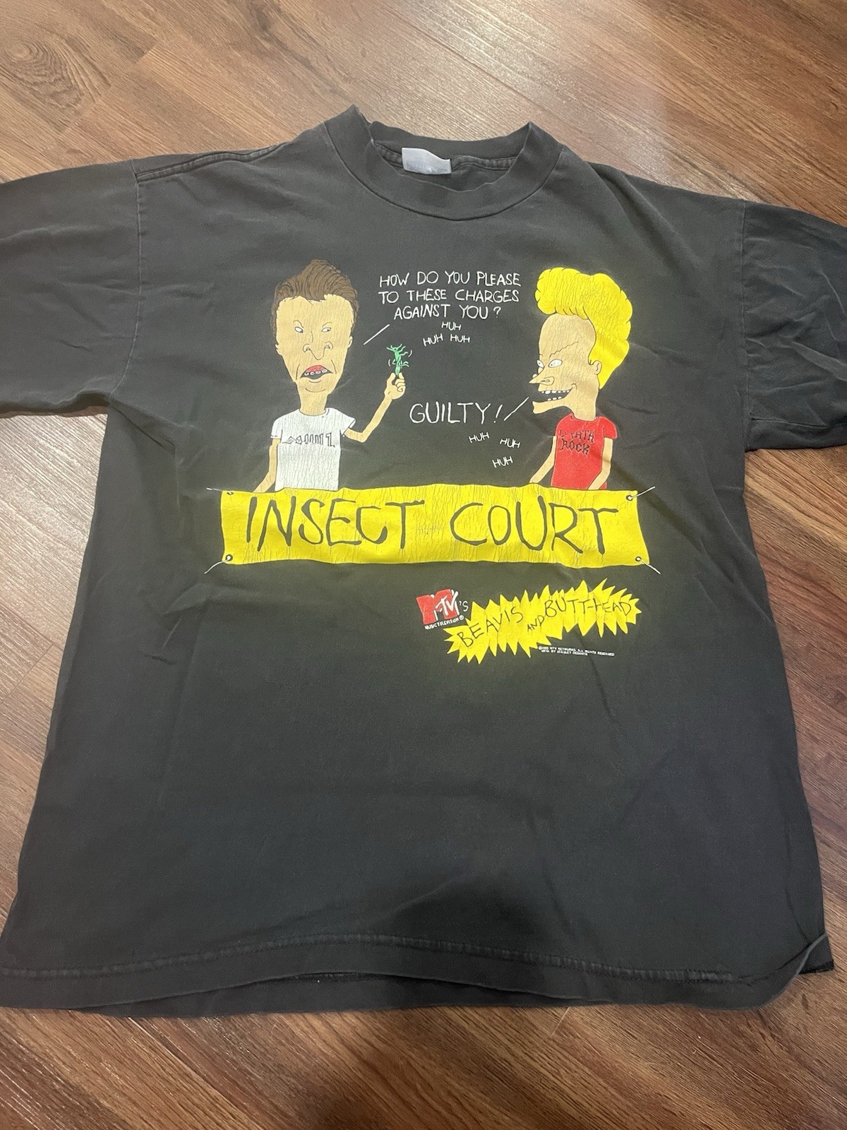Vintage 1993 Beavis And Butthead Insect Court Black Large Tee