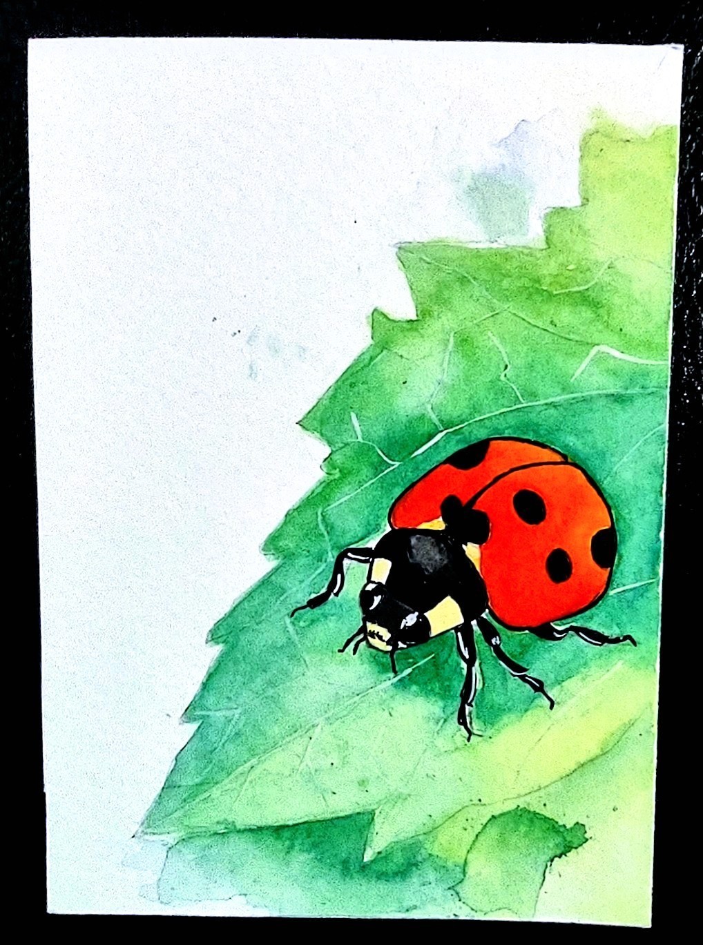 ACEO Hand Painted Art Card. Signed By Artist. Hand Painted Not A Print ACEO Hand Painted Art Card. Signed By Artist. Hand Painted Not A Print