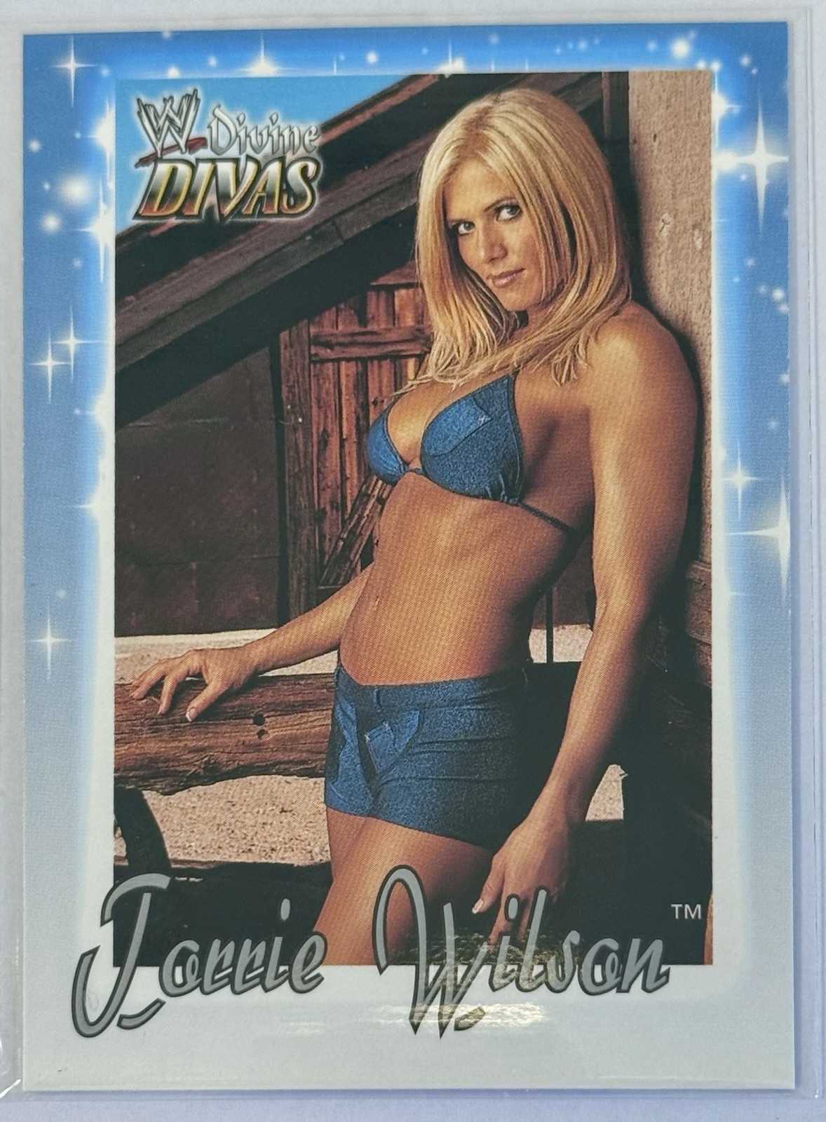 WWE WWF TORRIE WILSON 2003 FLEER DIVINE DIVAS #74