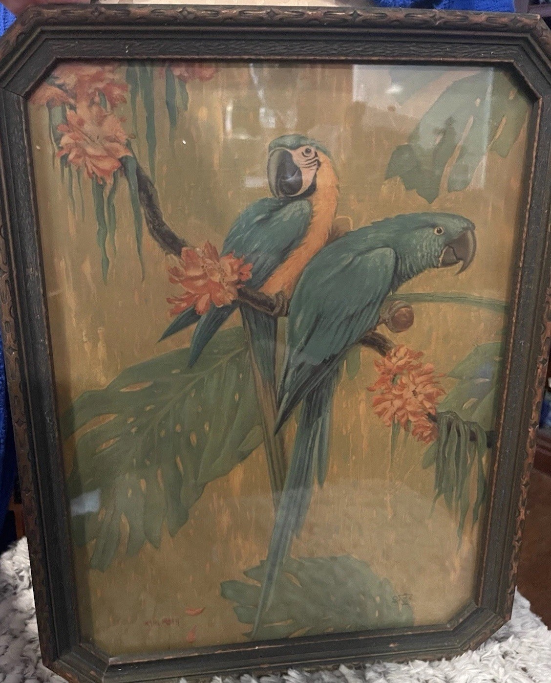 Antique Parrots Macaw Exotic Birds Lithograph Picture Blue Hyacinth Macaw 1927