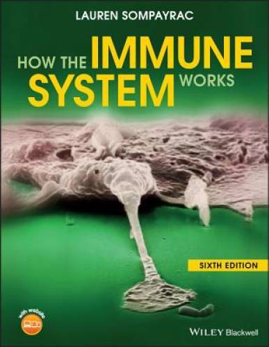 How the Immune System Works (The How it Works Series) - Paperback - GOOD