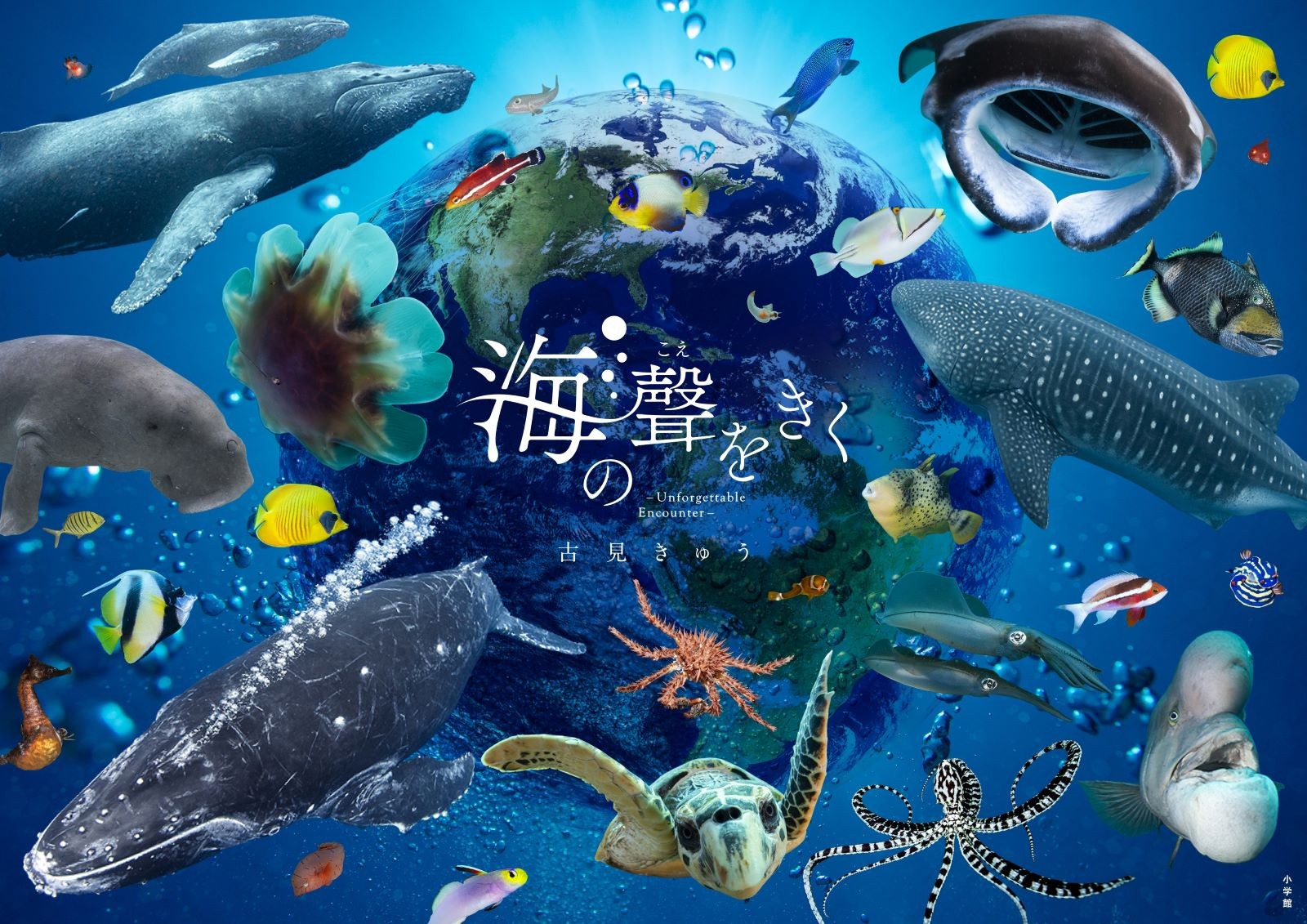 Hear the Ocean\'s Voice Underwater Photo Essay Book by Qiu Komi, Japan
