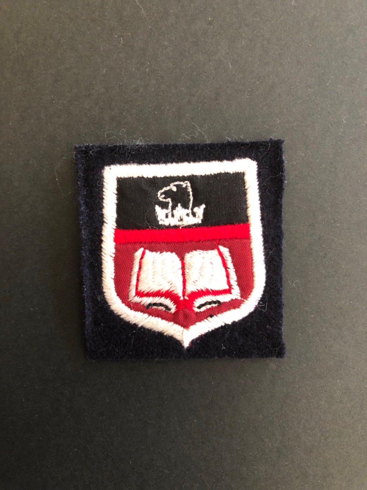 Vintage cloth patch badge Robert Pattinson School Lincoln
