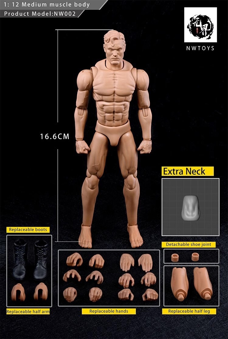 Nwtoys 1/12 Medium Muscle Body NW002 Super Flexible 6\'\' Male Body Doll Gift