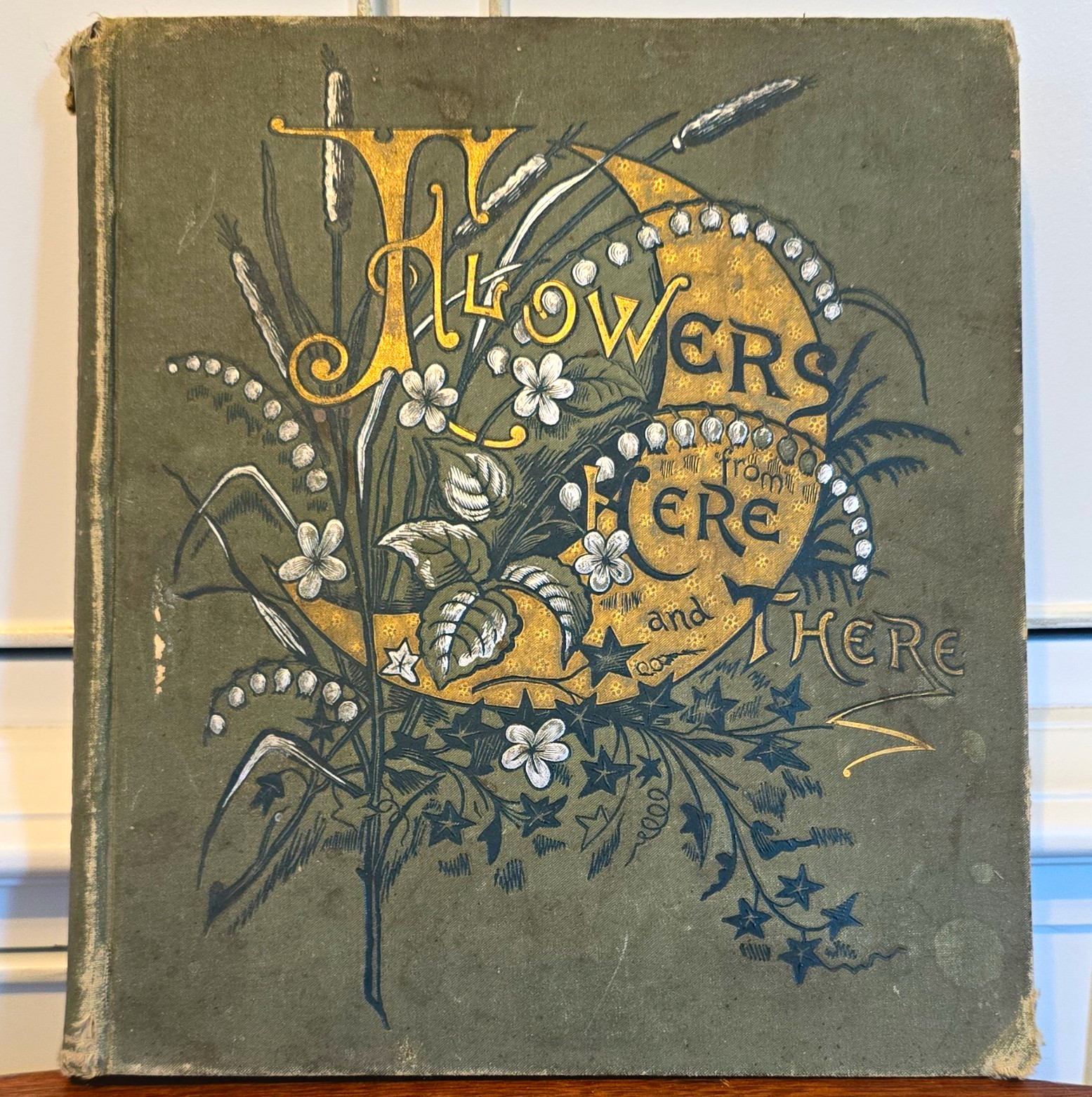 Flowers from Here and There Susie Barstow Skelding 1885 Illustrated Hardcover