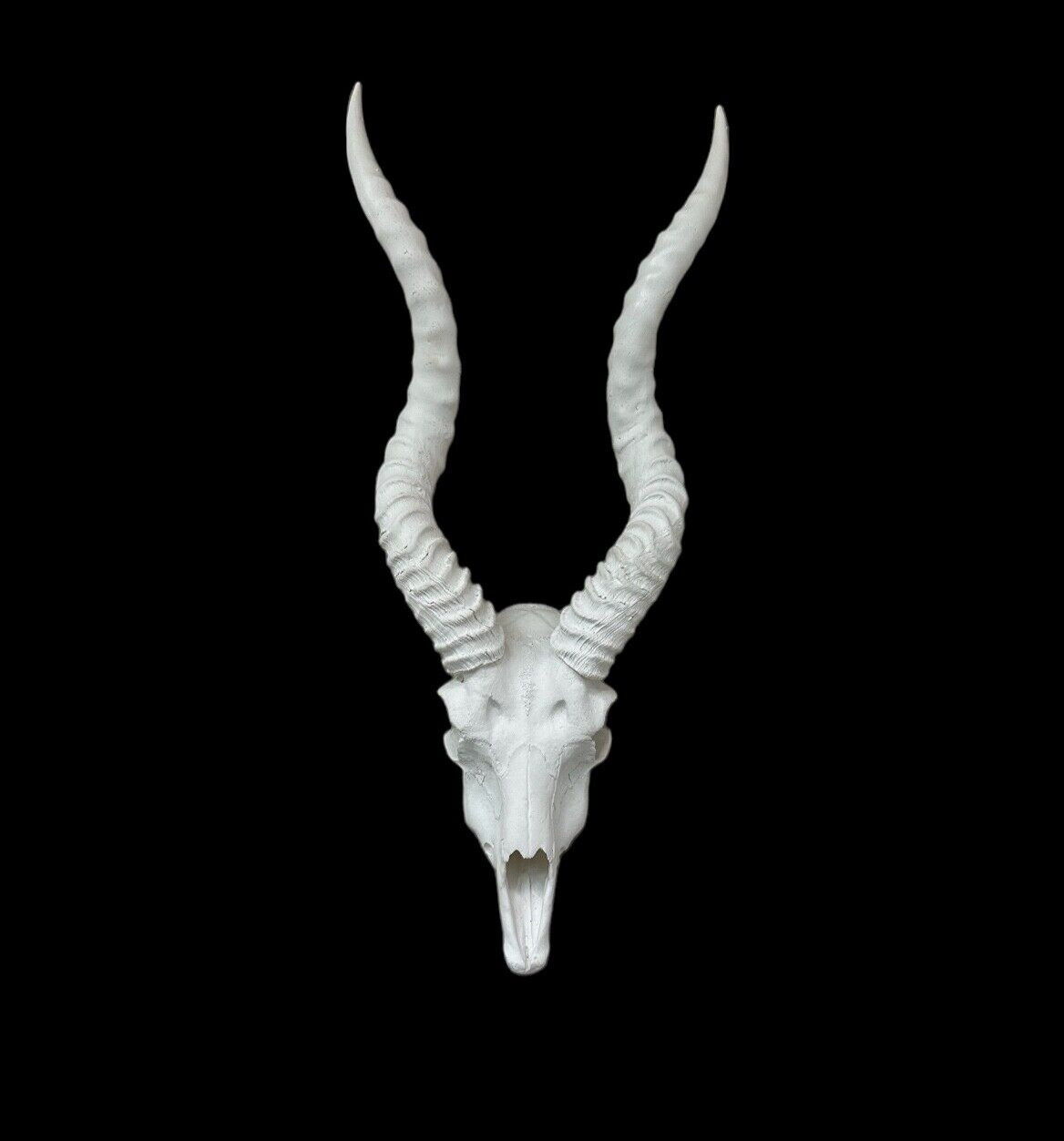 Blackbuck Indian antelope skulls Man Cave Taxidermy faux replica Interior Design