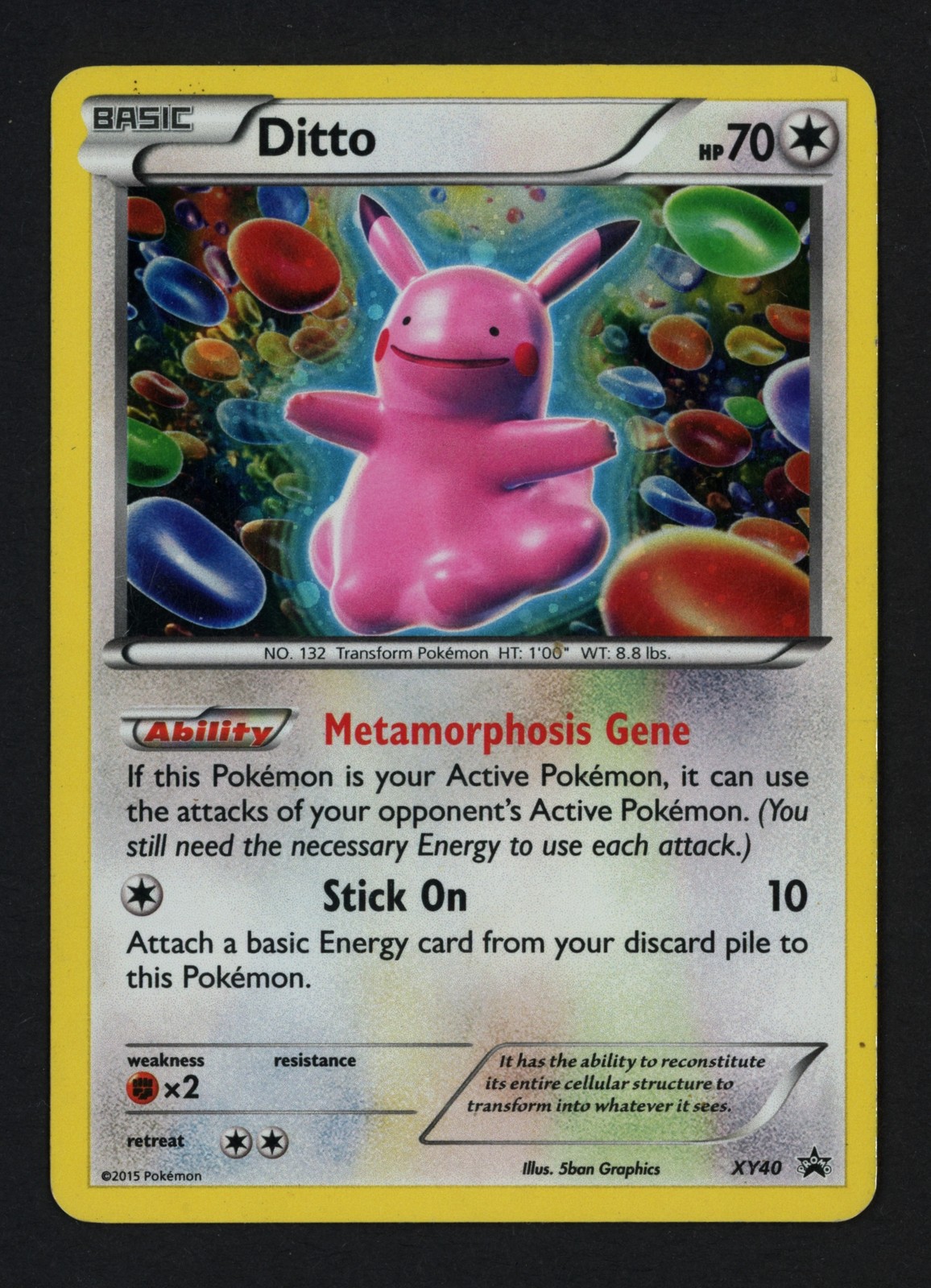 Ditto XY40 Holofoil XY Promo Pokemon TCG