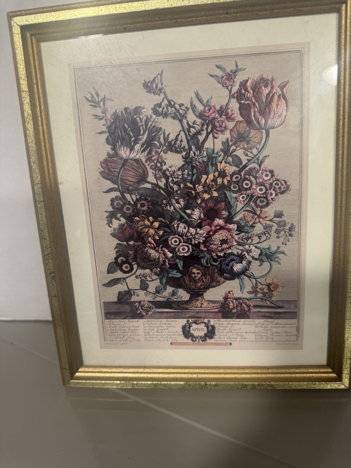 Framed Matted Robert Furber\'s Twelve Months of Flowers \