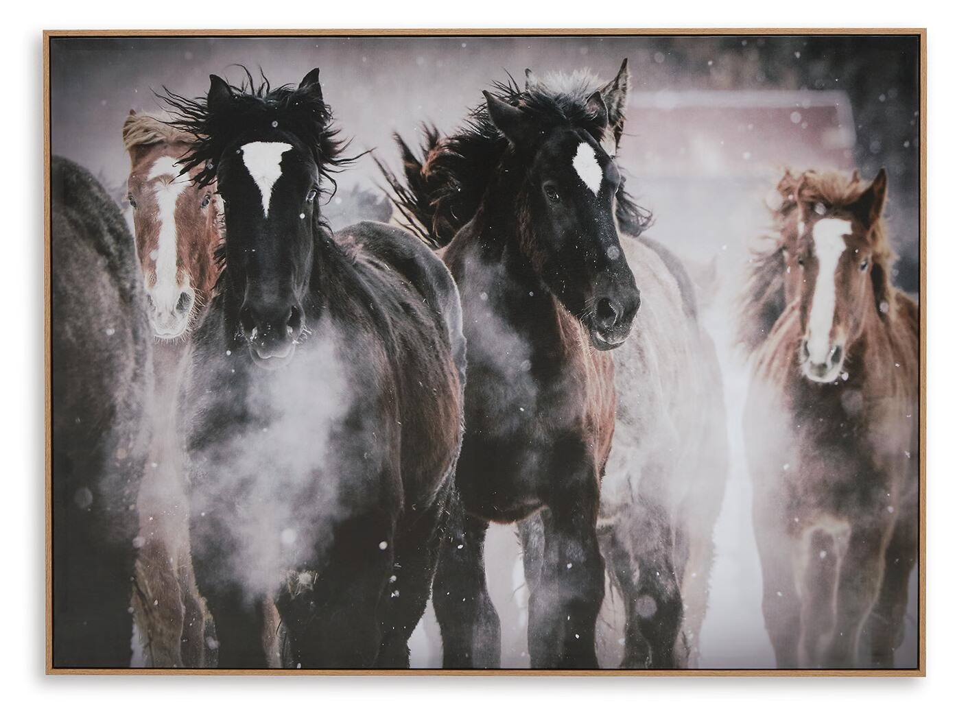 Signature Design by Ashley Chaseburn Equine Wall Art