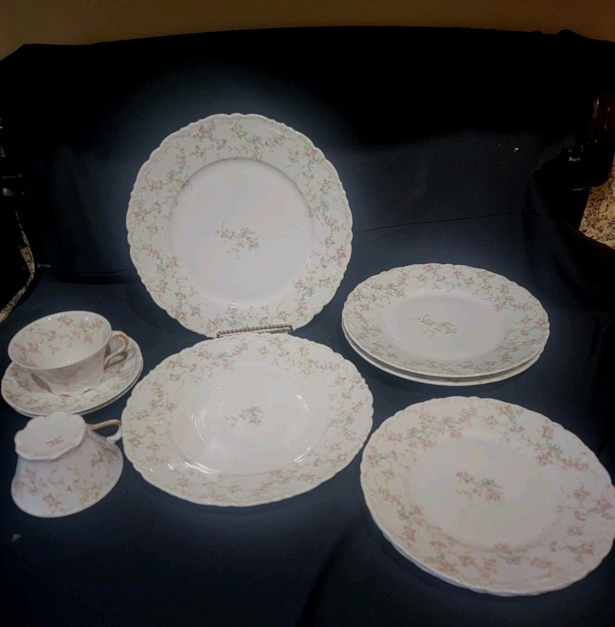 10 Pc Haviland MARIE Variant Schleiger 161D on Blank 301 Service For 2 10 Pc Haviland MARIE Variant Schleiger 161D on Blank 301 Service For 2