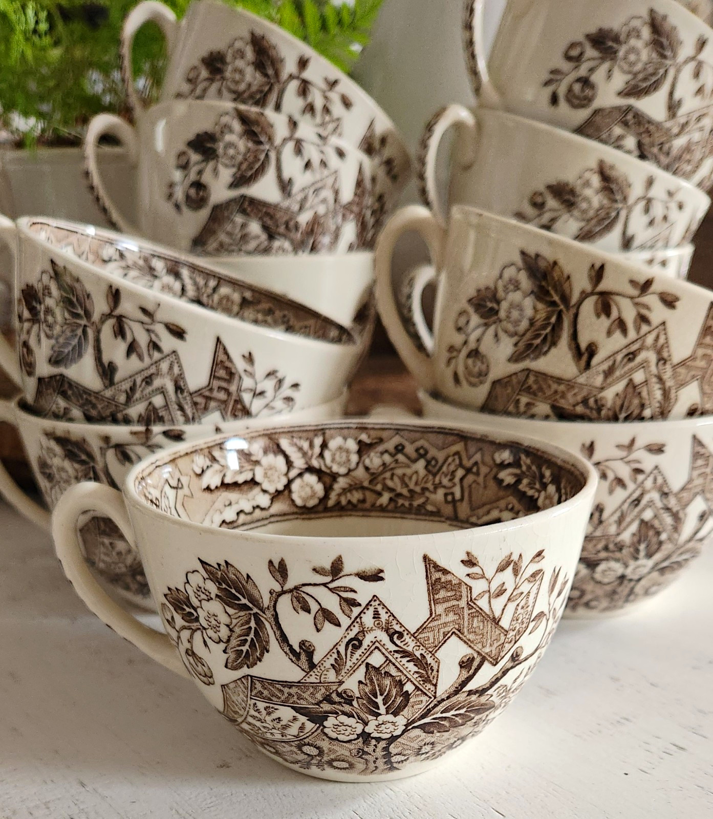 Victorian Wedgewood Beatrice Brown Transferware Cups