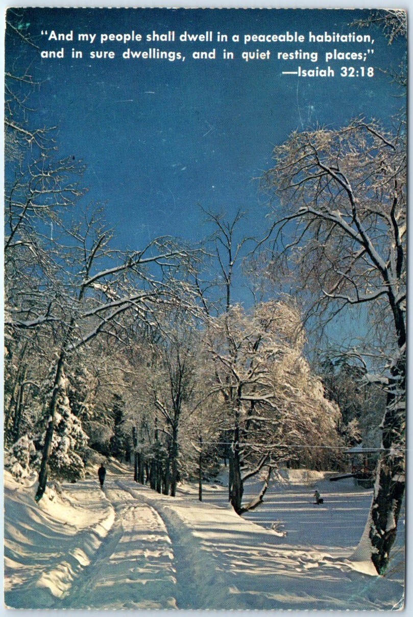 Postcard - Winter Scene