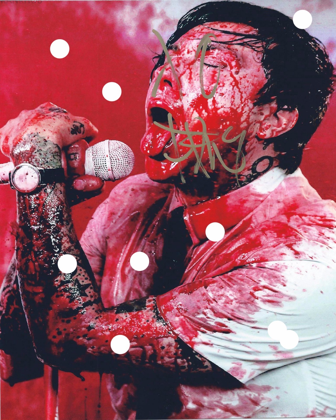 MY CHEMICAL ROMANCE SIGNED FRANK IERO FrnkIero And The Cellabration PHOTO RP