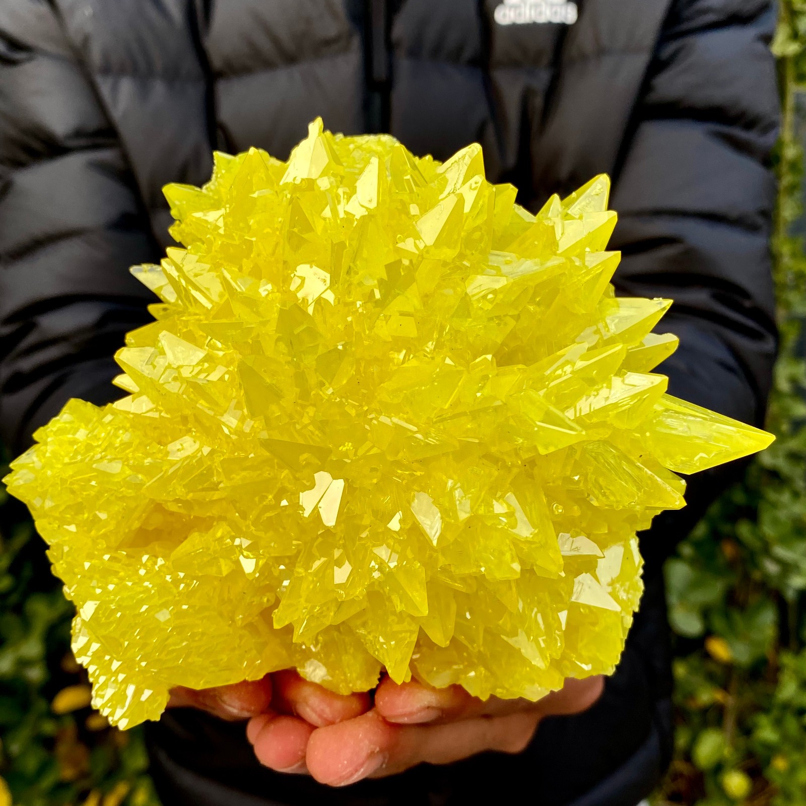 1.53LB Minerals ** LARGE NATIVE SULPHUR OnMATRIX Sicily