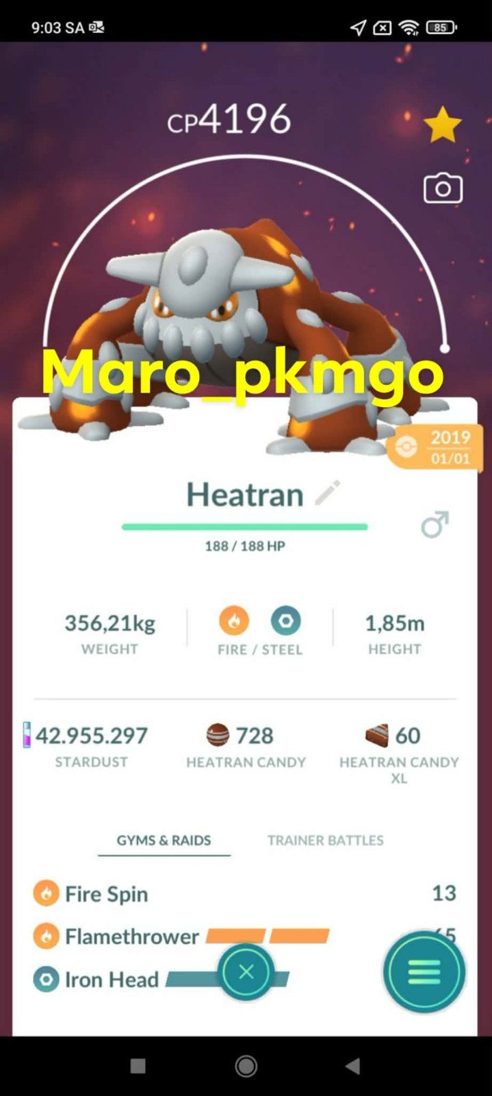 Pokemon Heatran LV50 3moves in 2019 -TRA\'DE Lucky guaranteed GO- Description