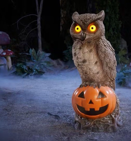 2.5 Ft Owl on Pumpkin LED Halloween Blowmold Home Depot - SHIP ASAP