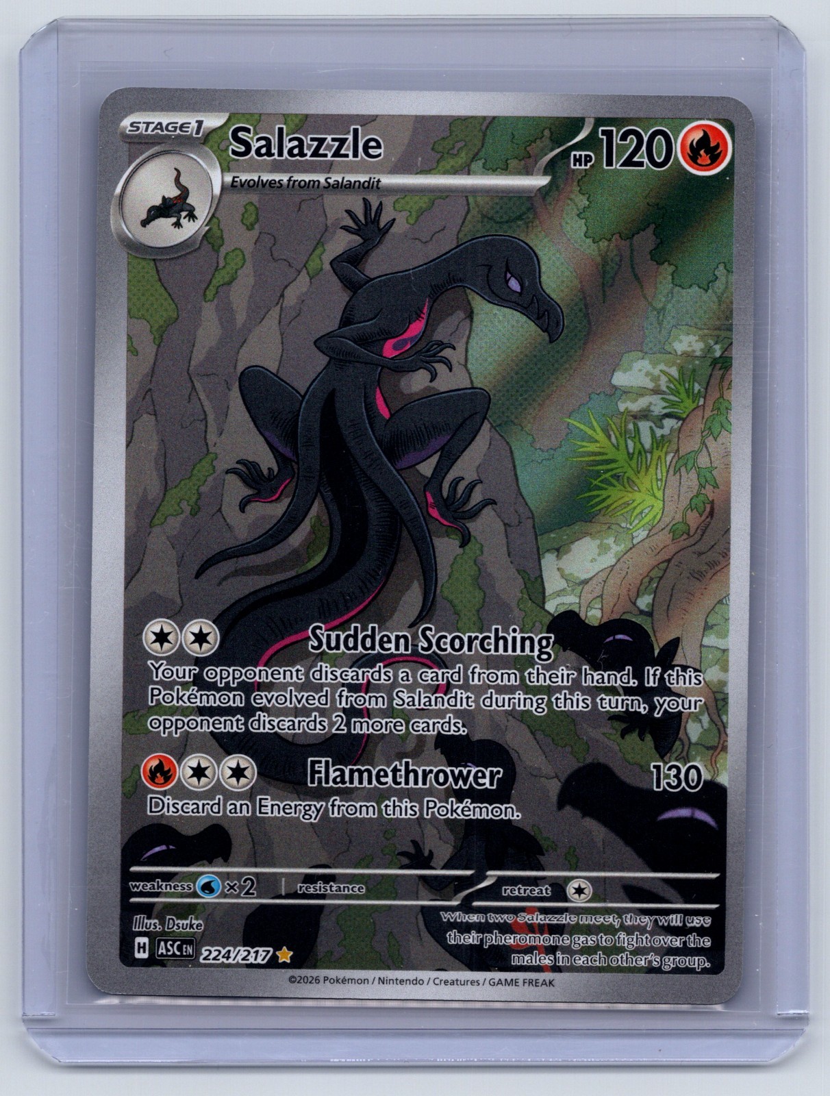 Pokemon Salazzle 224/217 Ascended Heroes Illustration Rare