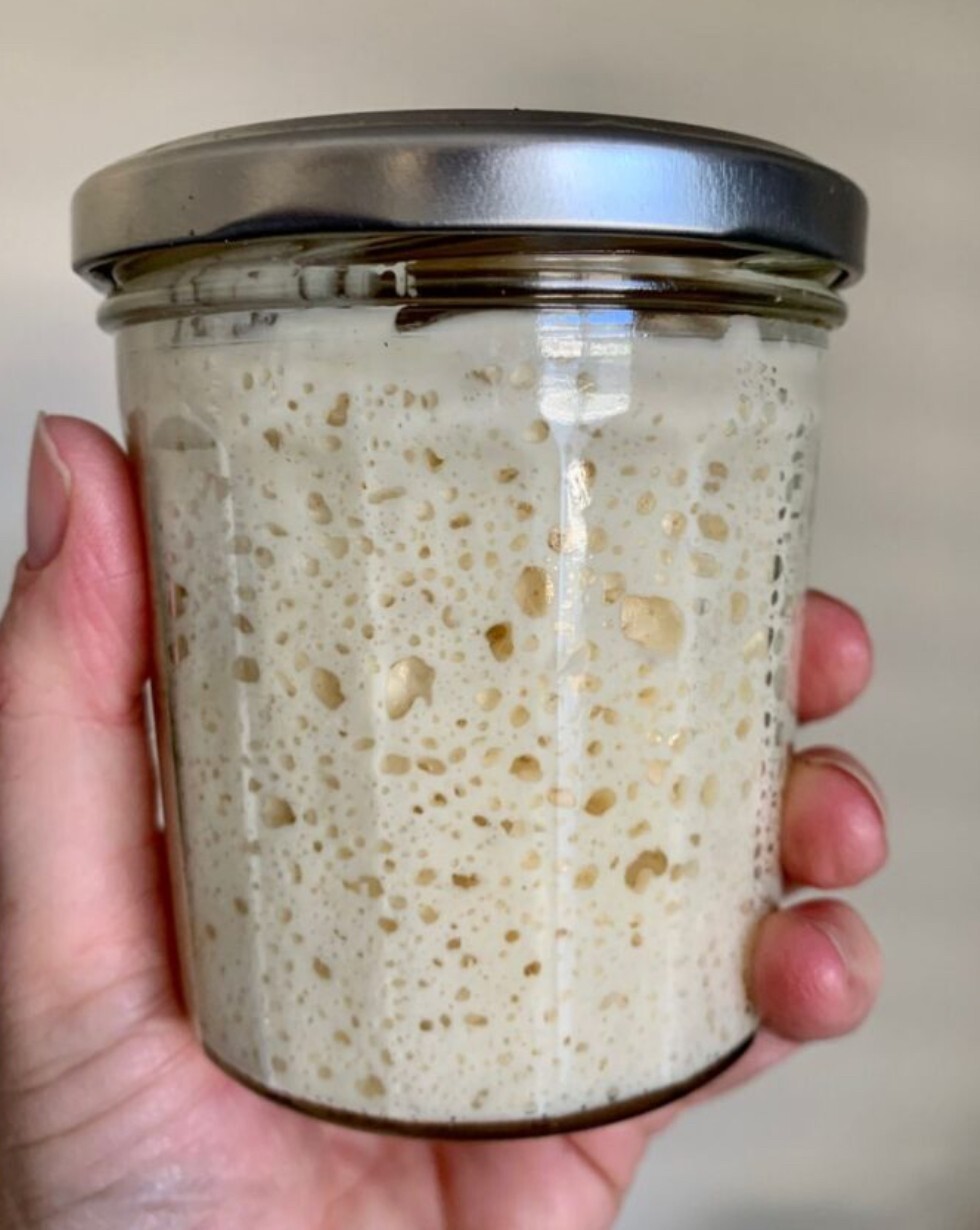 EASY Sourdough Starter Verified Live San Francisco- 221yr Old TOP SELLER