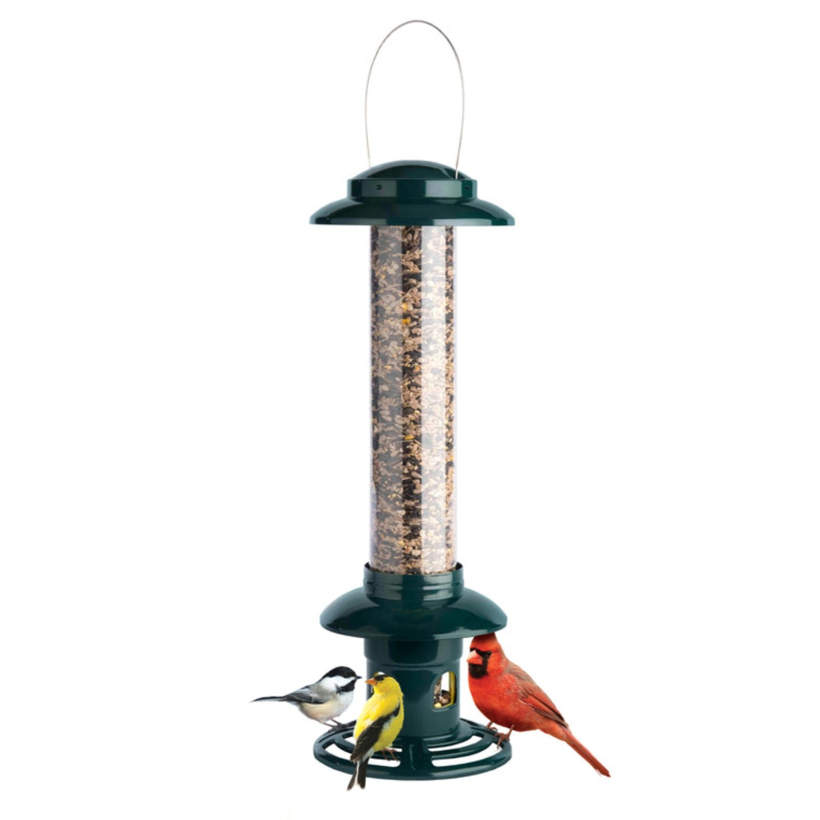 Brome Squirrel Buster Evolution Bird Feeder with Double Cardinal Ring