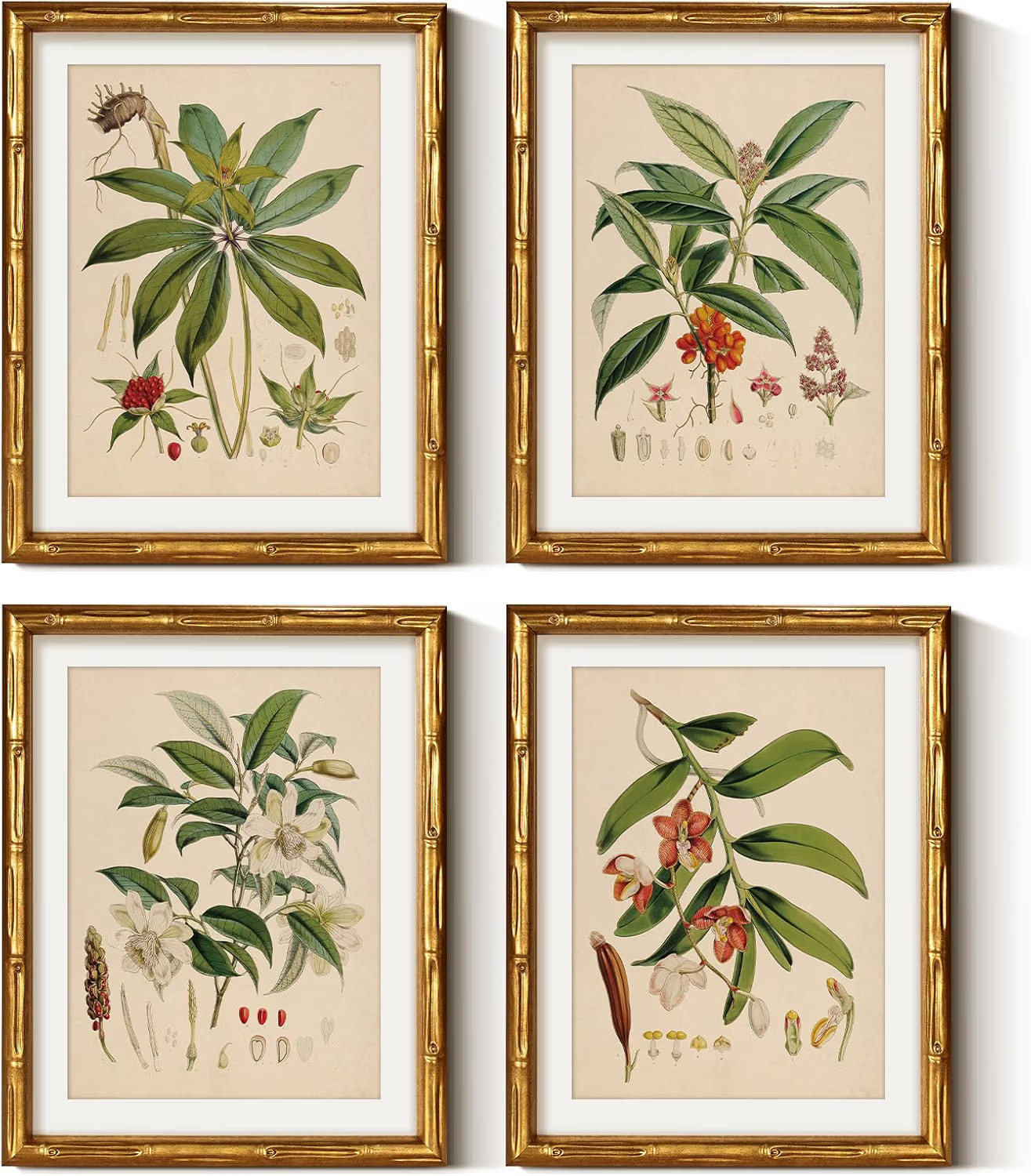 Rustic Bamboo Framed Blue Hydrangea Wall Art Set, 4 Pcs, 11x14 Inch Rustic Bamboo Framed Blue Hydrangea Wall Art Set, 4 Pcs, 11x14 Inch