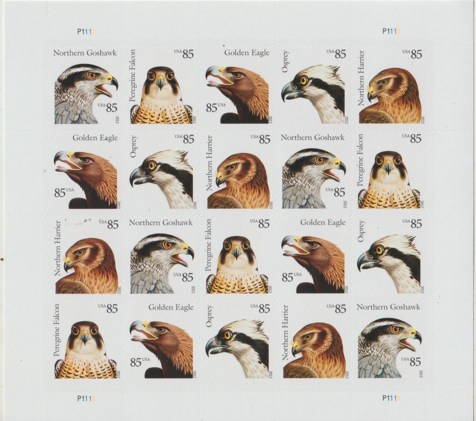 BIRDS OF PREY PEEL and STICK 5 Sheets 100 85 CENT Stamps