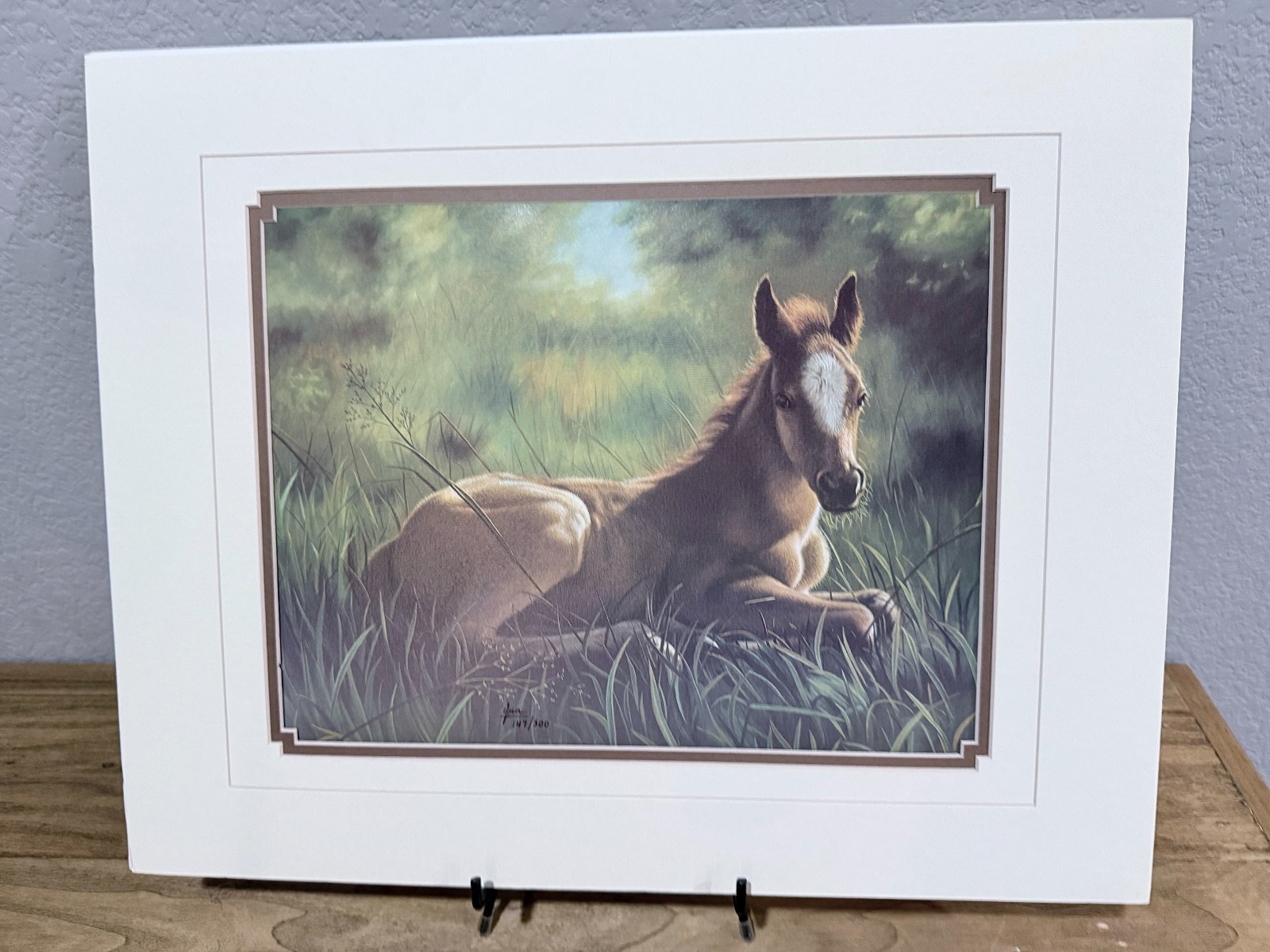 Vintage Bonnie Marris Mom\'s Shadow Equestrian Art Print Signed Foal Colt - Mint