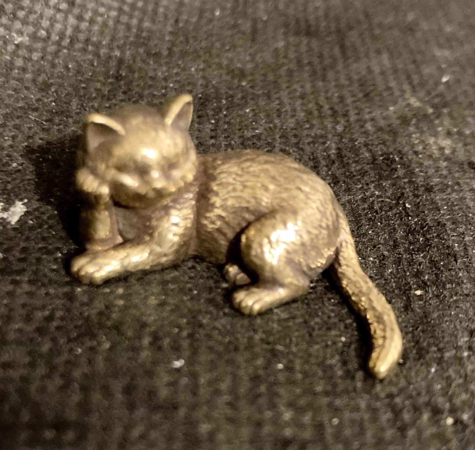Cute Thinking Cat 1 Cute Thinking Cat 1