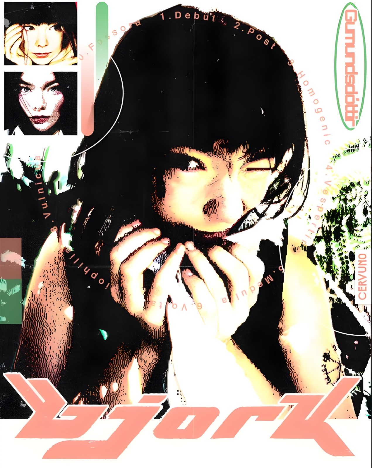 11x14 Bjork Poster Vintage Homogenic