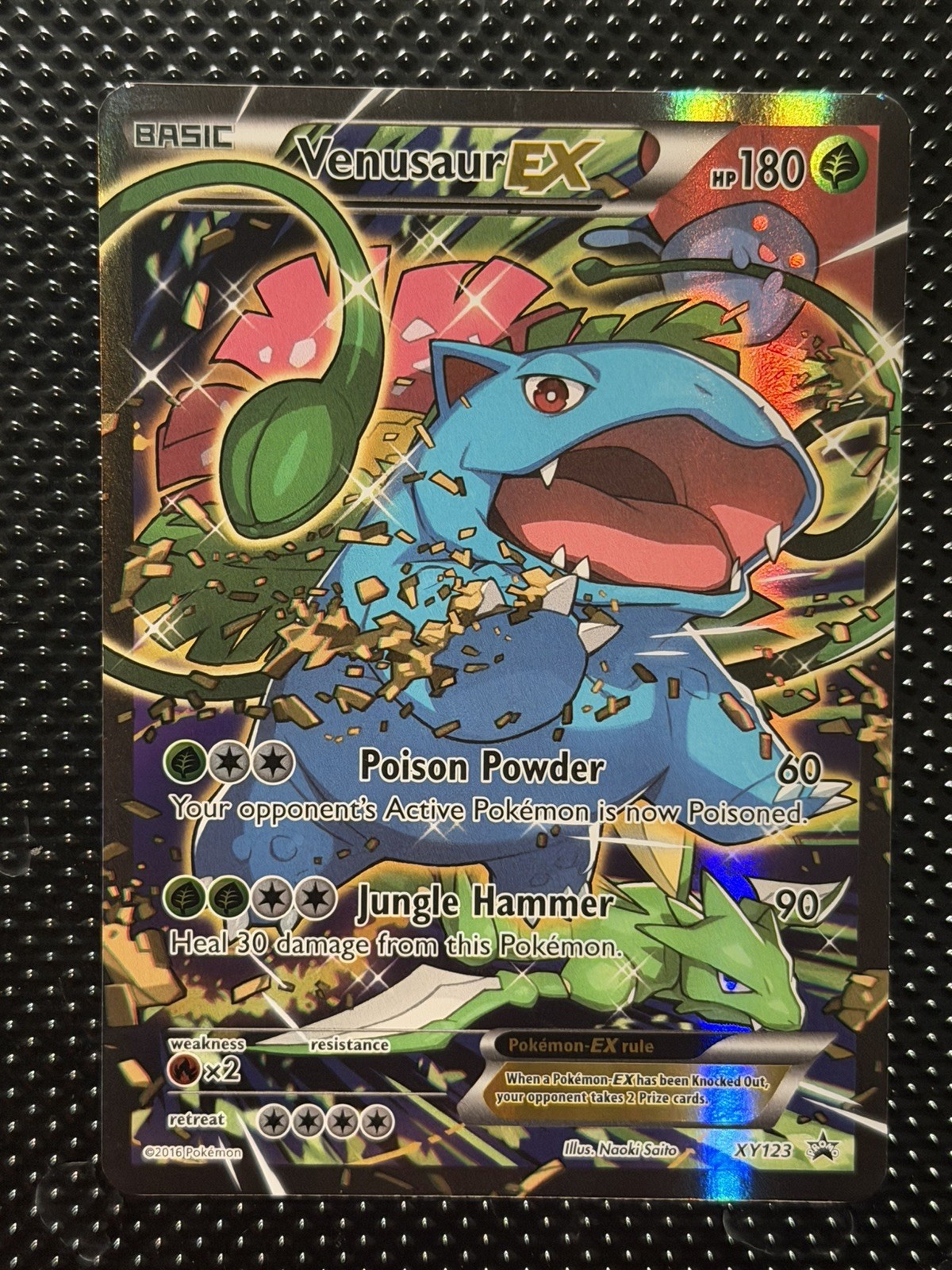 Pokémon TCG Venusaur EX XY PROMO XY123 Black Star HOLO RARE 