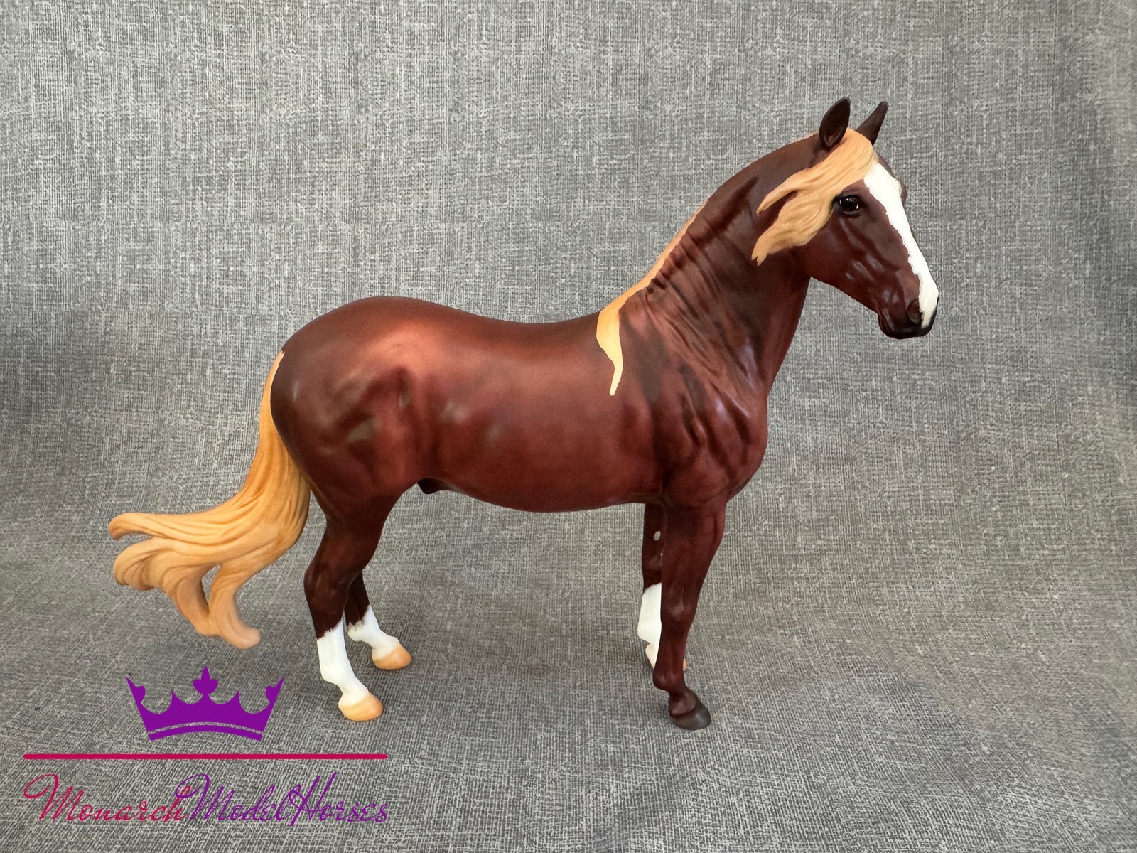 Breyer Trad Cancion Matte #90209 Premier Club