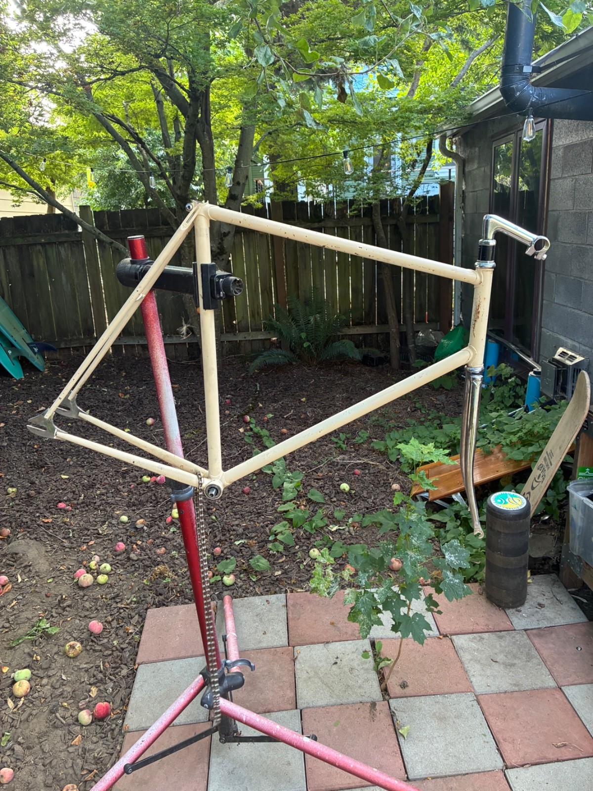 casati Monza Track 60cm