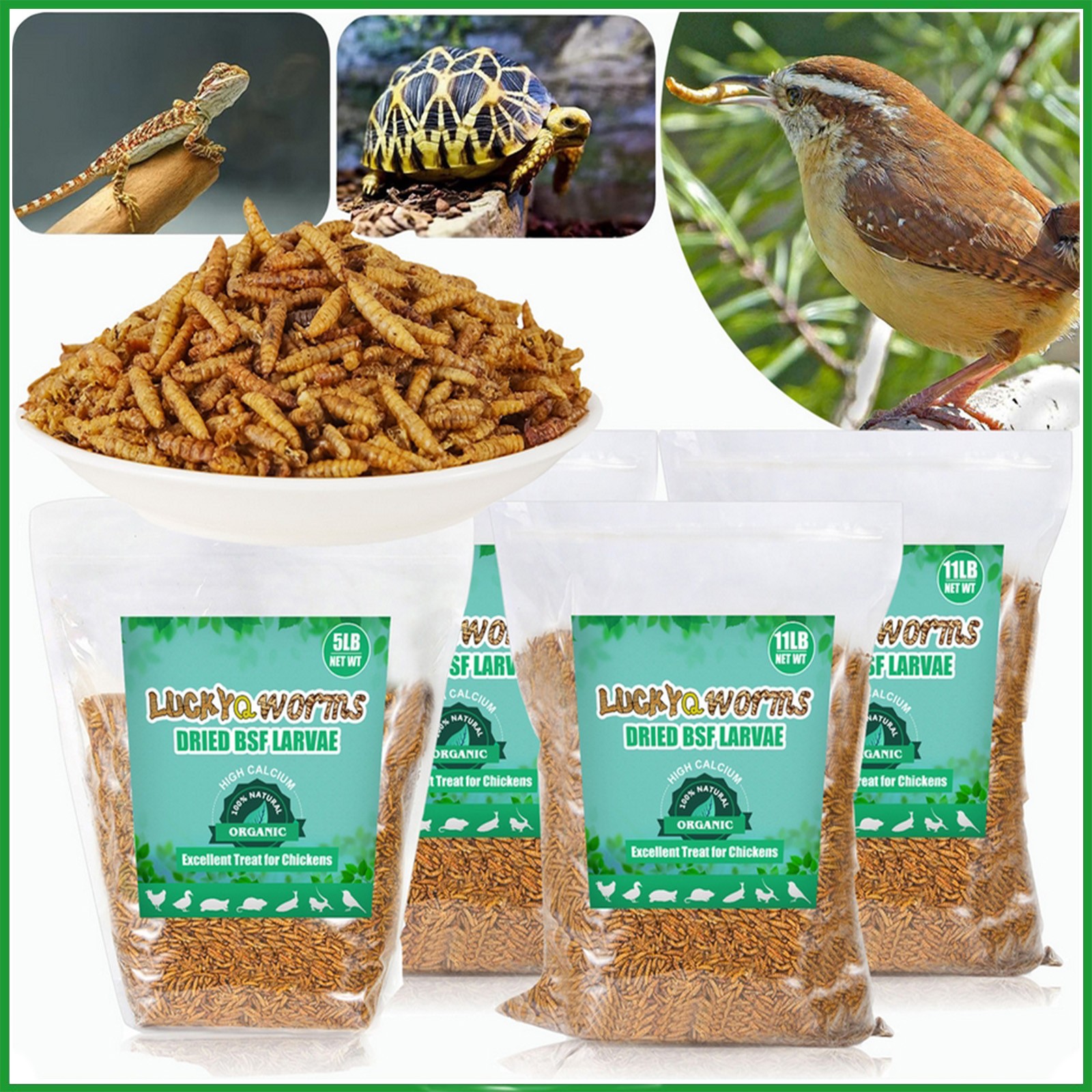Lot Bulk 5‑44LB Dried Black Soldier Fly Larvae High‑Protein Chicken Bird Treats