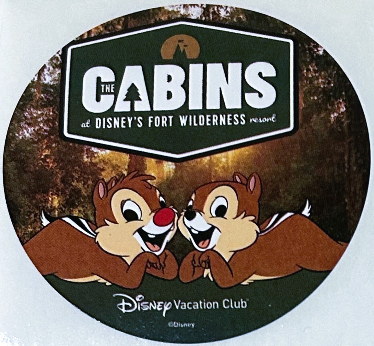Disney’s Fort Wilderness Cabins Resort DVC Stickers Scrapbook Chip N Dale NEW Disney’s Fort Wilderness Cabins Resort DVC Stickers Scrapbook Chip N Dale NEW
