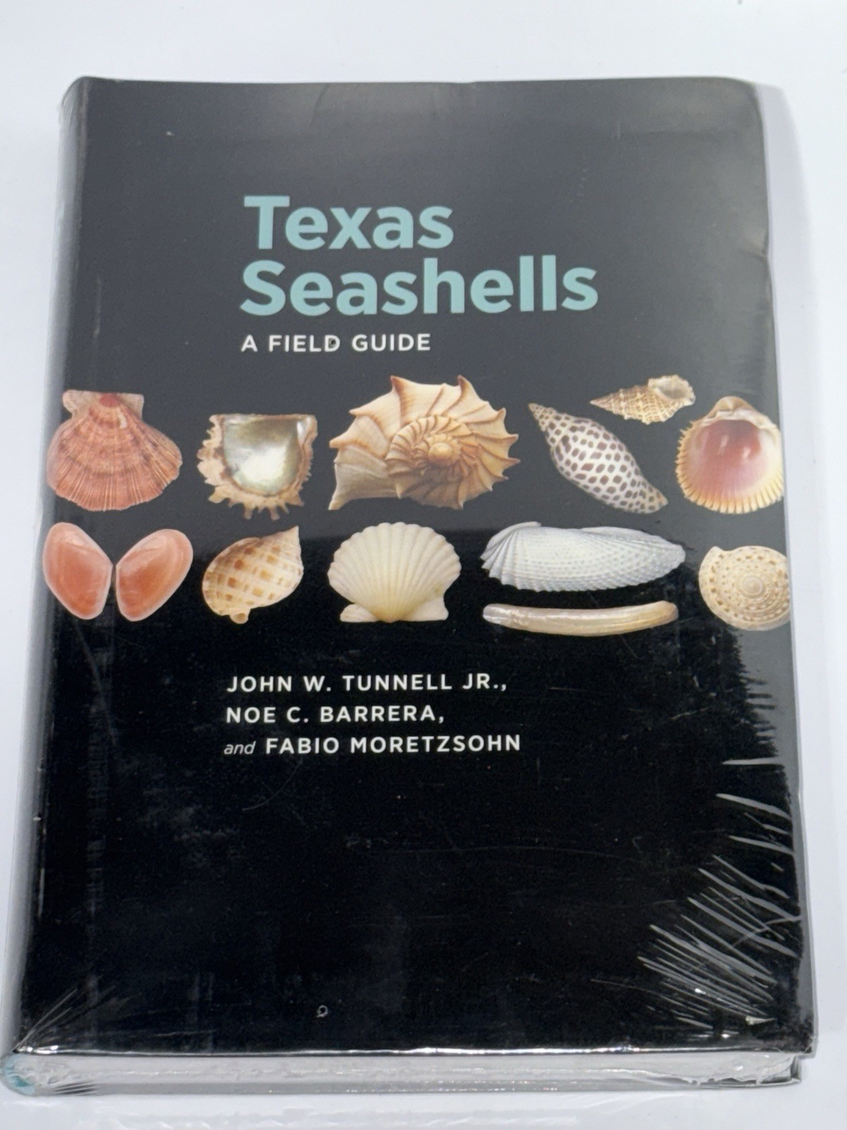 Texas Seashells: A Field Guide (Harte Research Institute Texas A&M College)