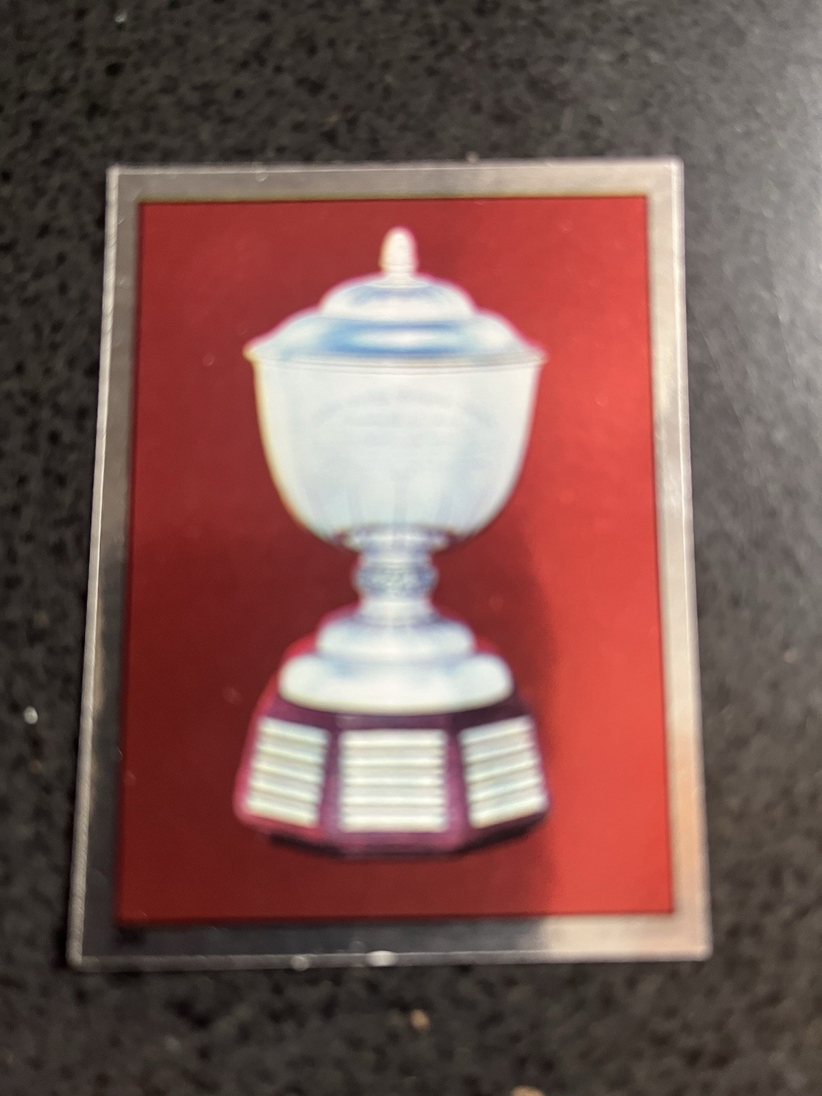 Rare 1981-82 OPC Foil Sticker #254 Norris Trophy Rare 1981-82 OPC Foil Sticker #254 Norris Trophy